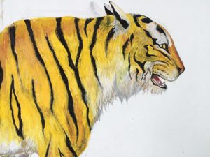 Wild　Tiger